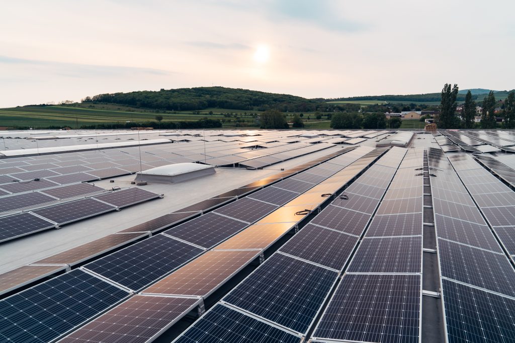 Selina Photovoltaic_ Coca-Cola HBC_PV-Anlage